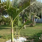 Francesco Bed & Breakfast