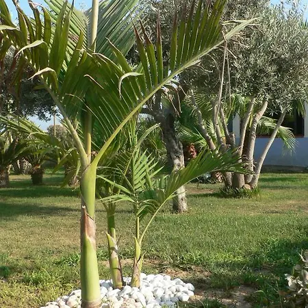 Francesco Bed & Breakfast