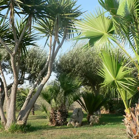 Francesco Bed & Breakfast
