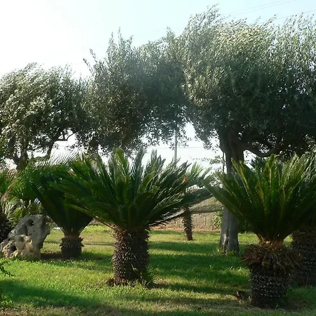 Francesco Bed & Breakfast 3*