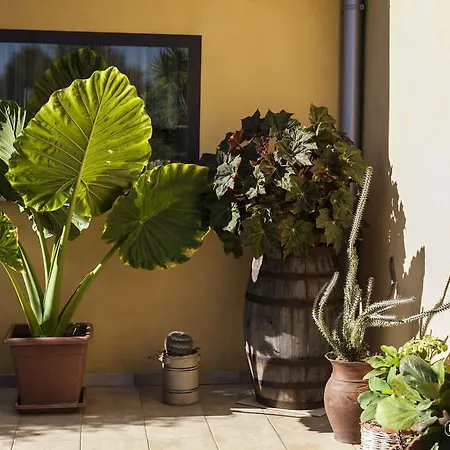 Francesco Отель типа 