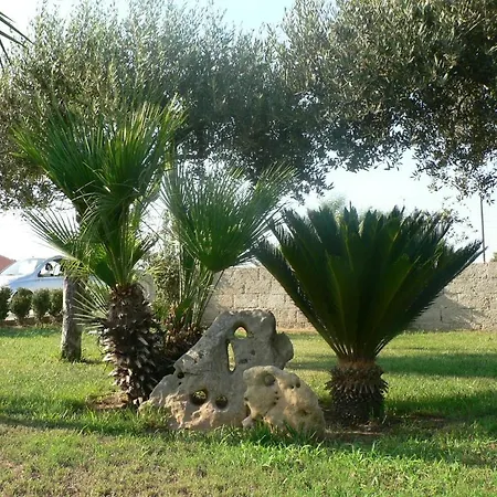 Francesco