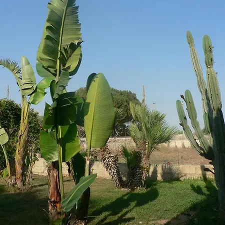 Francesco 3* Марина-ди-Рагуза