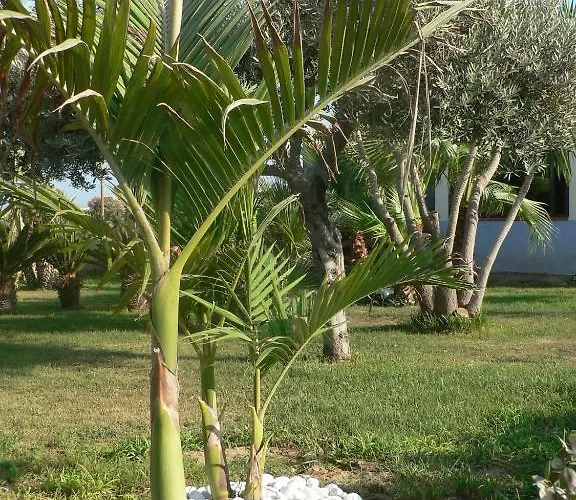 Francesco Bed & Breakfast